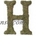 Large (15") Moss Monogram, A   555722781
